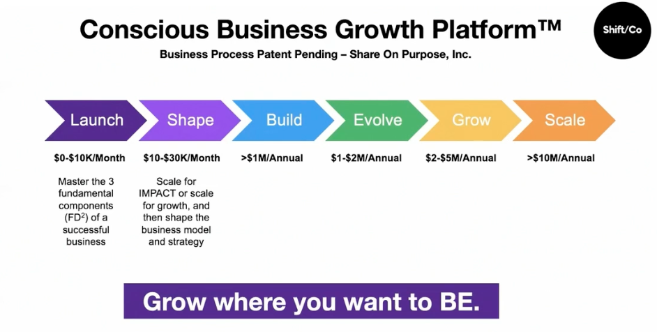 Conscious Business Growth